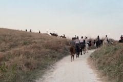 PUNTA-ADERCI-ABRUZZO_18