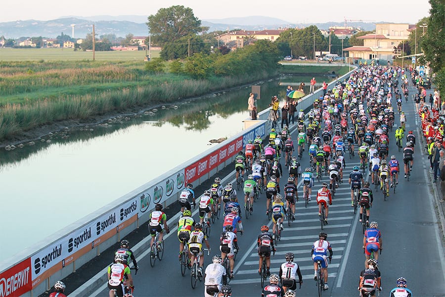 Novecolli 2014